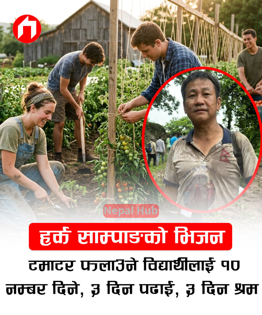हर्क साम्पाङको भिजन– टमाटर फलाउने विद्यार्थीलाई १० नम्बर दिने, ३ दिन पढाई, ३ दिन श्रम