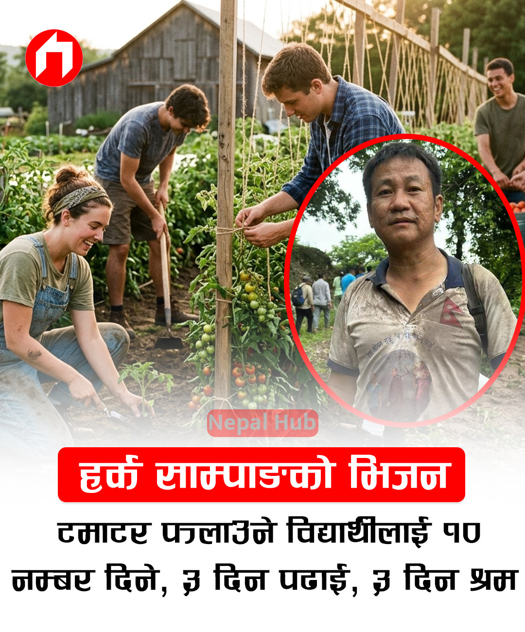 हर्क साम्पाङको भिजन– टमाटर फलाउने विद्यार्थीलाई १० नम्बर दिने, ३ दिन पढाई, ३ दिन श्रम